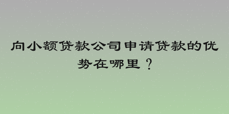 向小额贷款公司申请贷款的优势在哪里？