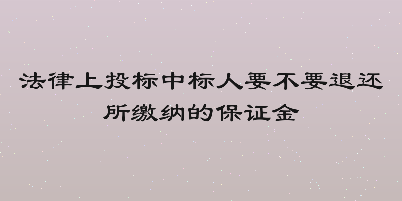 法律上投标中标人要不要退还所缴纳的保证金