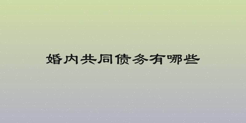 婚内共同债务有哪些