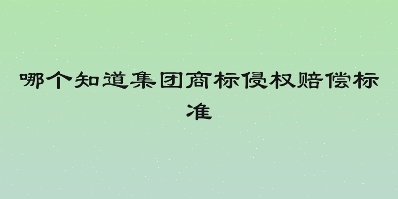 哪个知道集团商标侵权赔偿标准