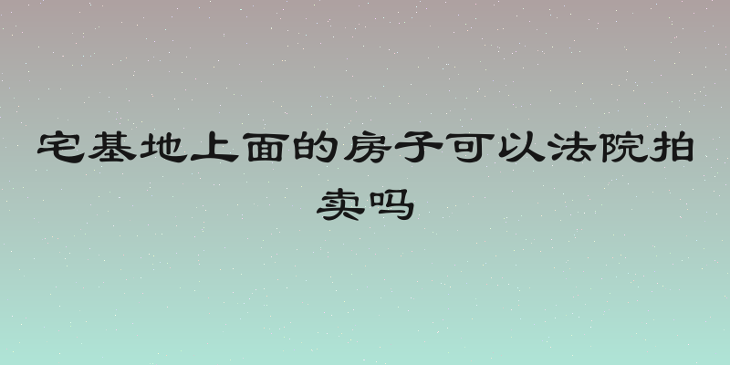 宅基地上面的房子可以法院拍卖吗