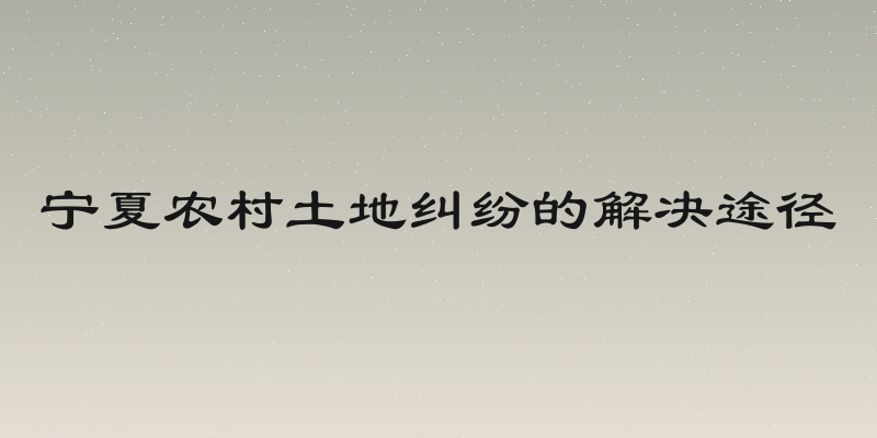 宁夏农村土地纠纷的解决途径