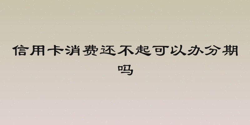 信用卡消费还不起可以办分期吗