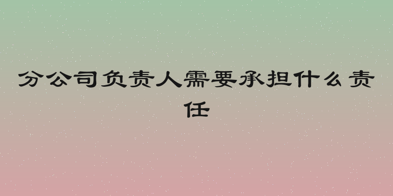 分公司负责人需要承担什么责任