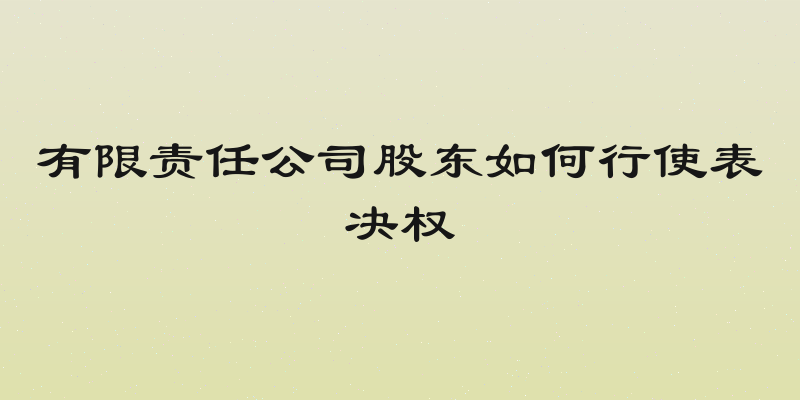 有限责任公司股东如何行使表决权
