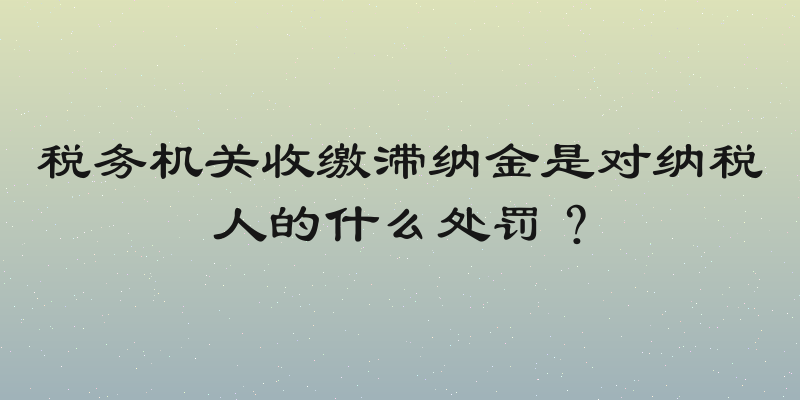 税务机关收缴滞纳金是对纳税人的什么处罚？