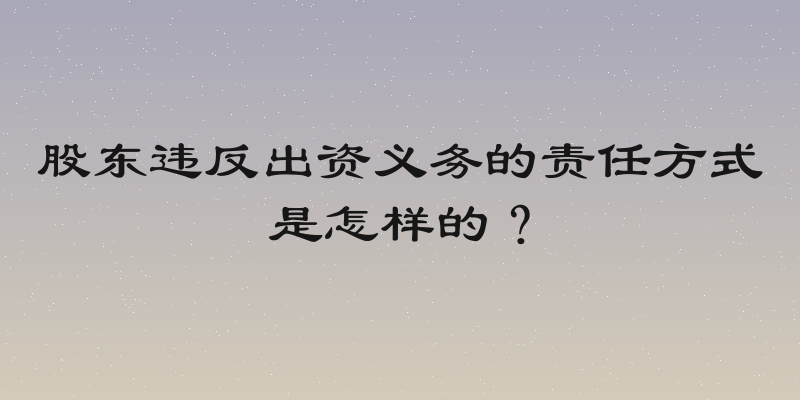 股东违反出资义务的责任方式是怎样的？