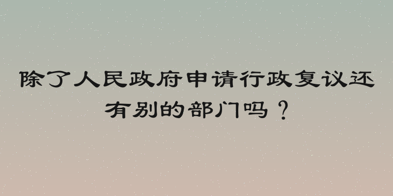 除了人民政府申请行政复议还有别的部门吗？