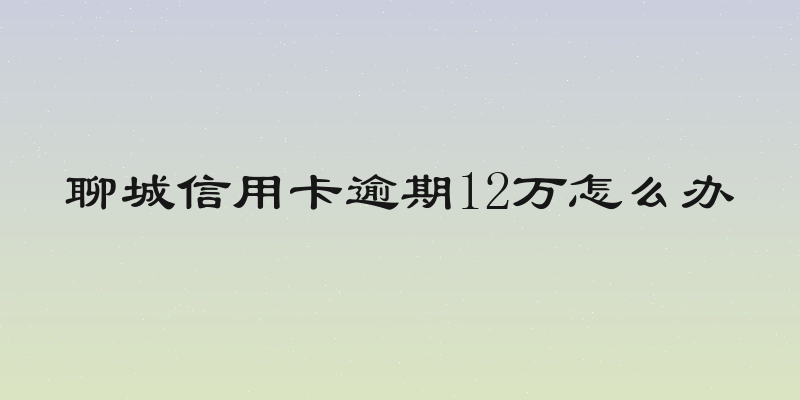 聊城信用卡逾期12万怎么办