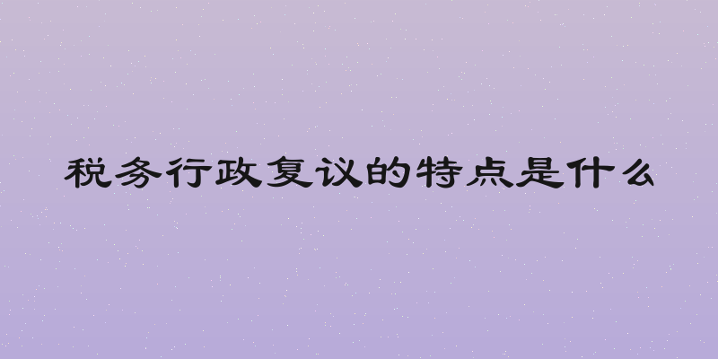 税务行政复议的特点是什么
