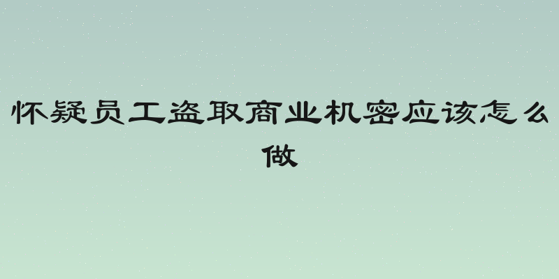 怀疑员工盗取商业机密应该怎么做