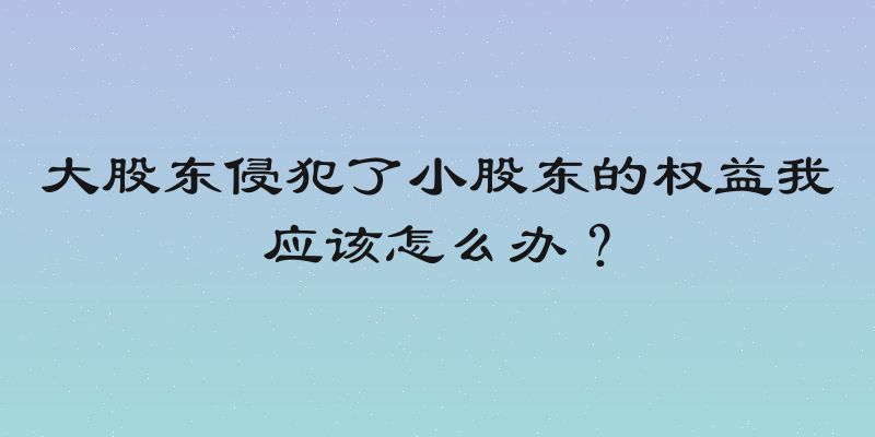 大股东侵犯了小股东的权益我应该怎么办？