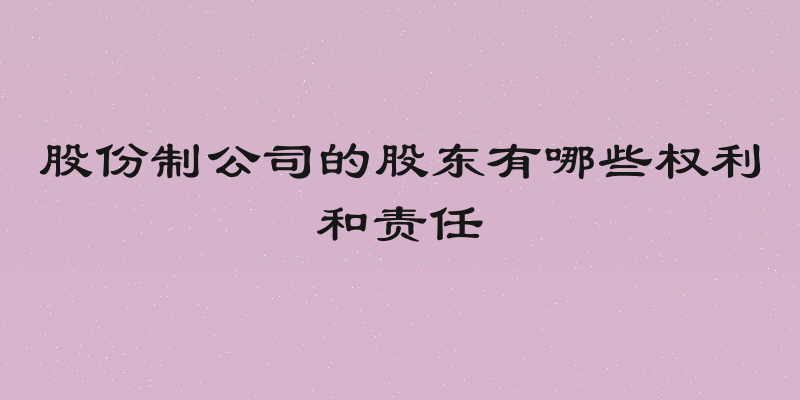股份制公司的股东有哪些权利和责任