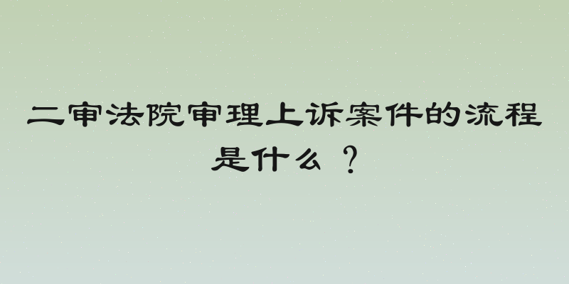 二审法院审理上诉案件的流程是什么？