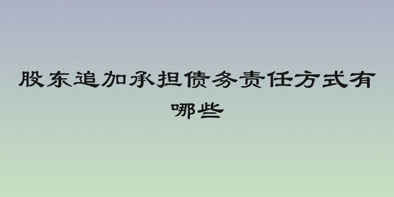 股东追加承担债务责任方式有哪些