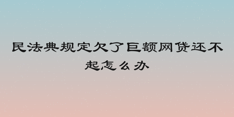 民法典规定欠了巨额网贷还不起怎么办