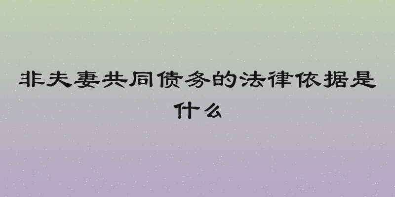 非夫妻共同债务的法律依据是什么