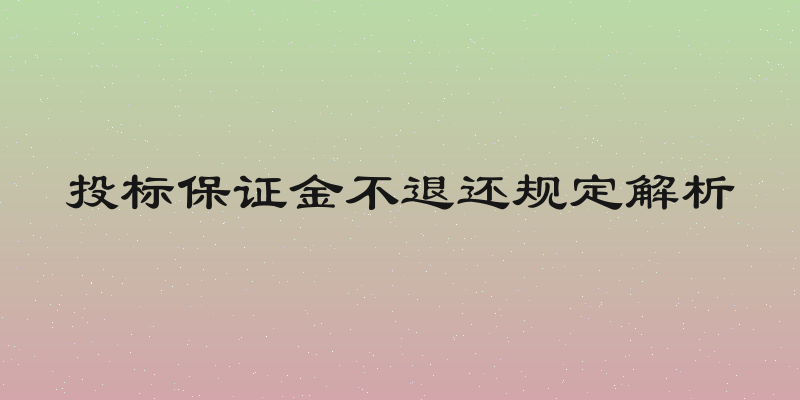 投标保证金不退还规定解析