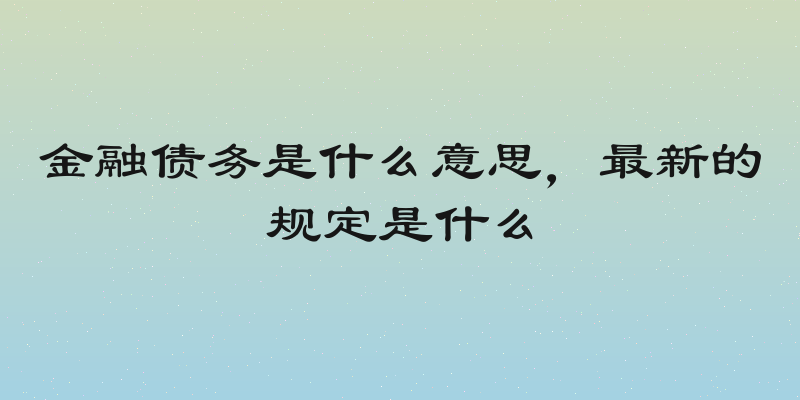 金融债务是什么意思，最新的规定是什么