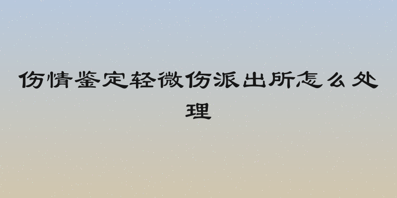 伤情鉴定轻微伤派出所怎么处理