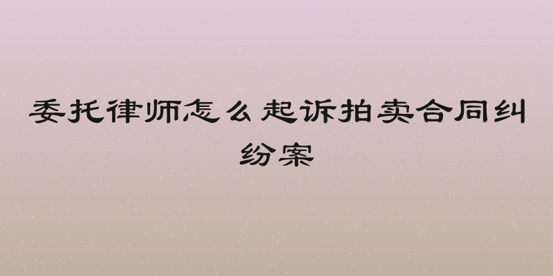 委托律师怎么起诉拍卖合同纠纷案