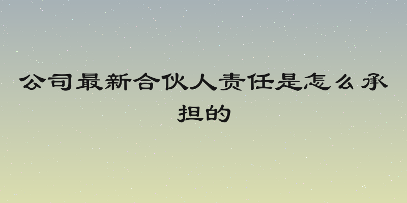 公司最新合伙人责任是怎么承担的