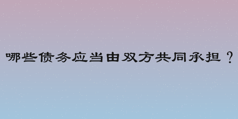 哪些债务应当由双方共同承担？