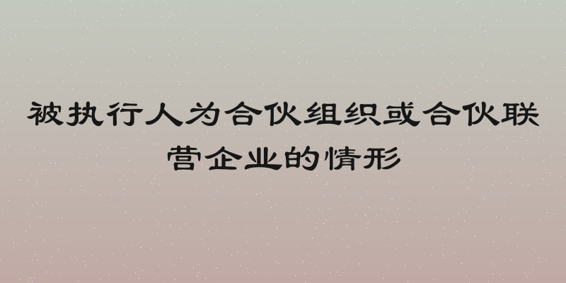 被执行人为合伙组织或合伙联营企业的情形