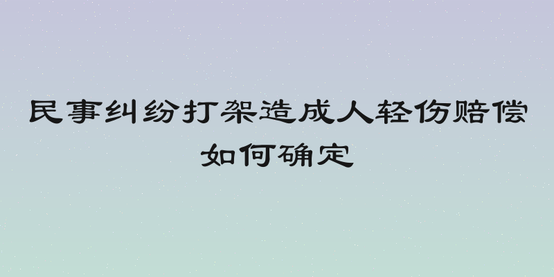 民事纠纷打架造成人轻伤赔偿如何确定