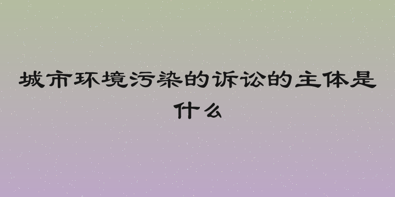 城市环境污染的诉讼的主体是什么