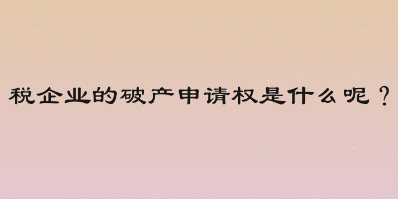 税企业的破产申请权是什么呢？