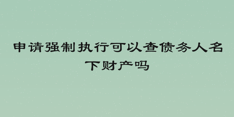 申请强制执行可以查债务人名下财产吗