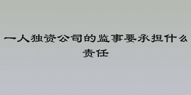 一人独资公司的监事要承担什么责任