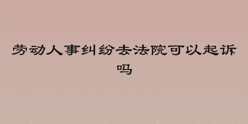 劳动人事纠纷去法院可以起诉吗