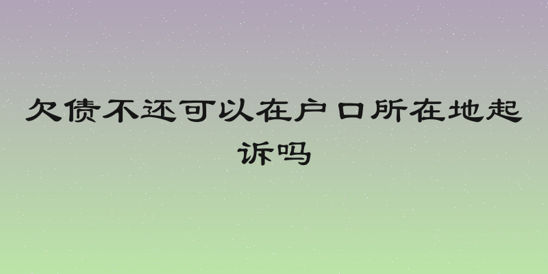 欠债不还可以在户口所在地起诉吗