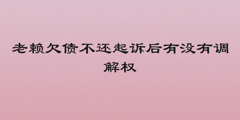 老赖欠债不还起诉后有没有调解权