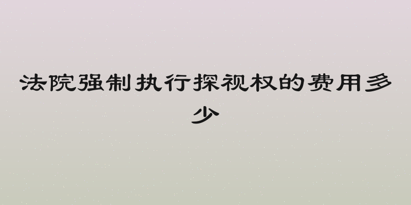 法院强制执行探视权的费用多少
