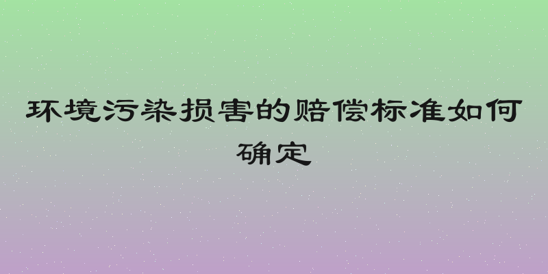 环境污染损害的赔偿标准如何确定