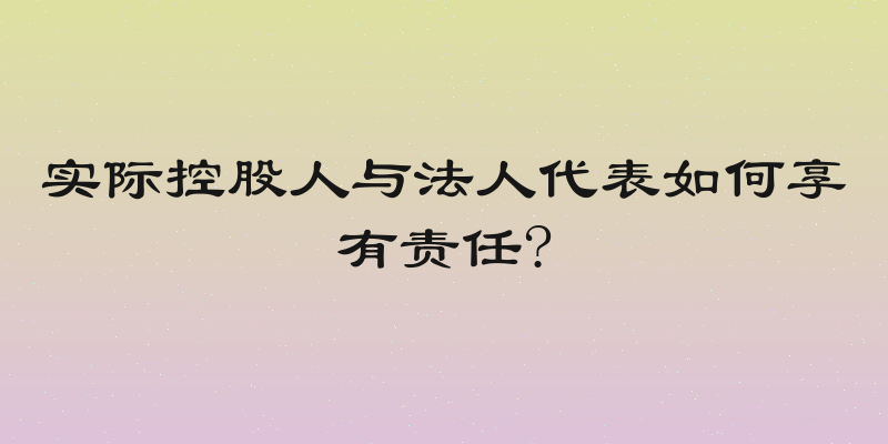 实际控股人与法人代表如何享有责任?