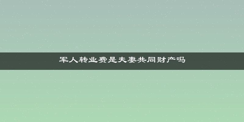 军人转业费是夫妻共同财产吗