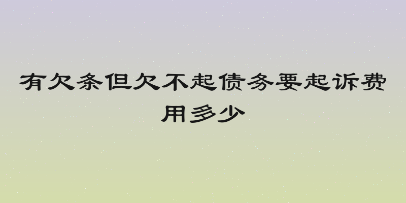 有欠条但欠不起债务要起诉费用多少