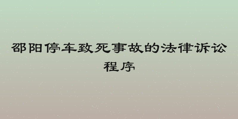 邵阳停车致死事故的法律诉讼程序