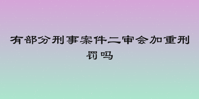 有部分刑事案件二审会加重刑罚吗