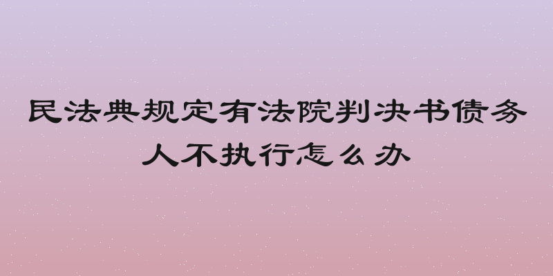 民法典规定有法院判决书债务人不执行怎么办