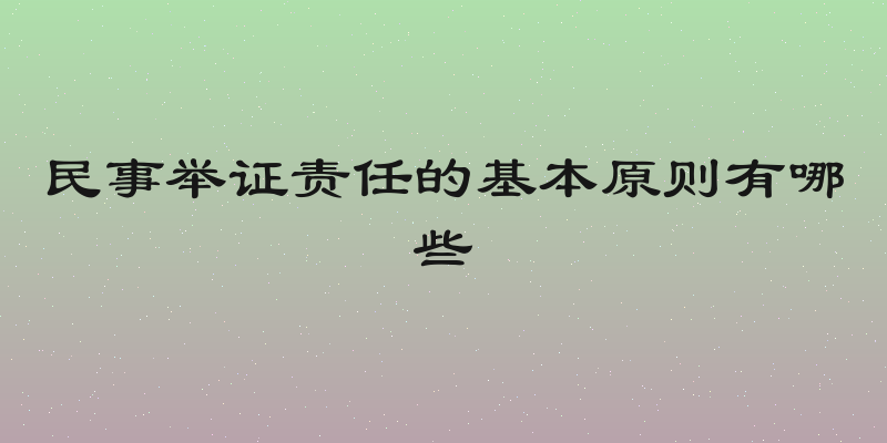 民事举证责任的基本原则有哪些