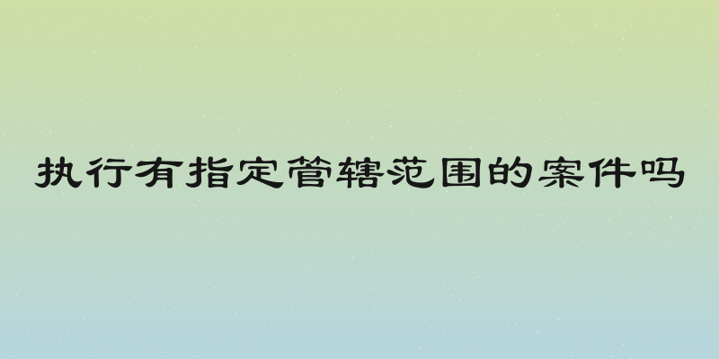 执行有指定管辖范围的案件吗