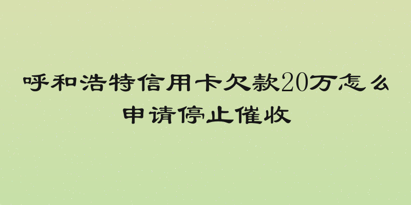 呼和浩特信用卡欠款20万怎么申请停止催收